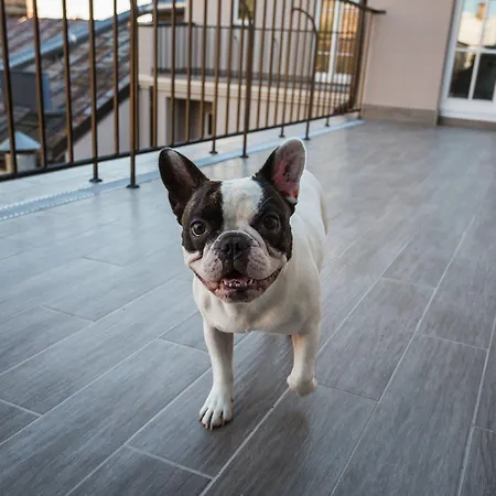 Hotel apartamentowy Lux - Ernesta, Free Parking 4*