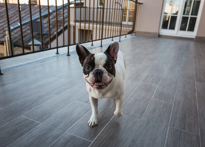 Aparthotel Lux - Ernesta, Free Parking 4*